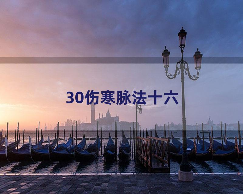 30伤寒脉法十六