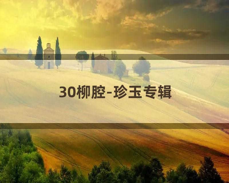 30柳腔-珍玉专辑