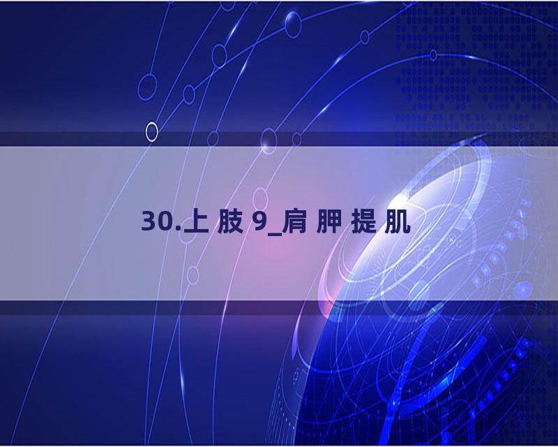 30.上肢9_肩胛提肌