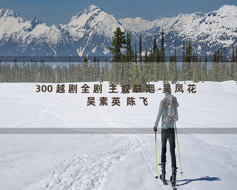 300 越剧全剧 主奴联姻-吴凤花 吴素英 陈飞