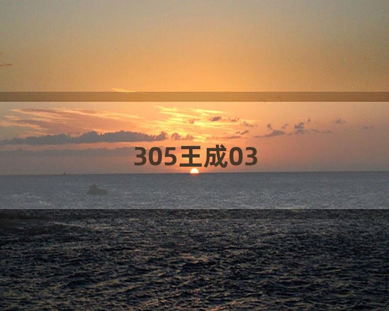 305王成03