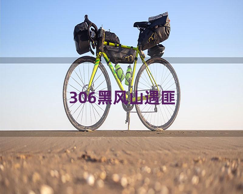 306黑风山遇匪