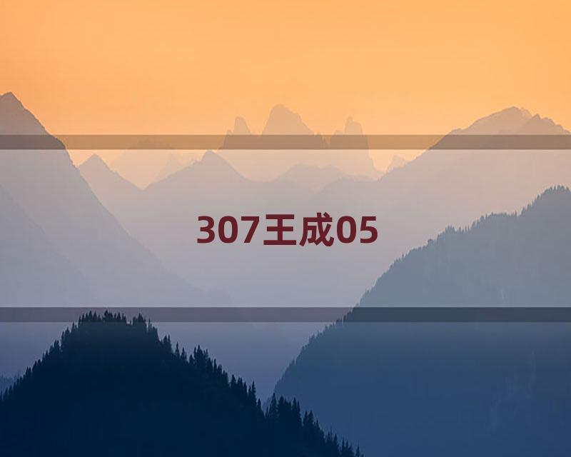 307王成05