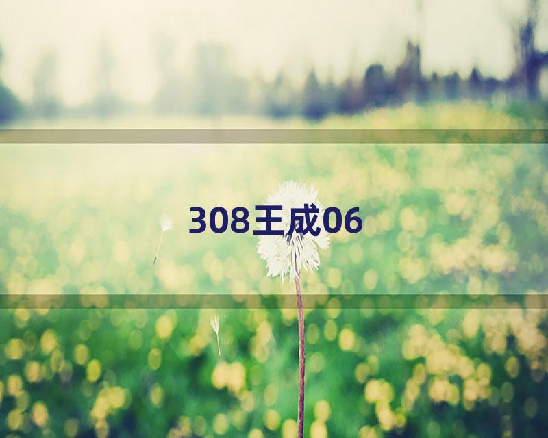 308王成06