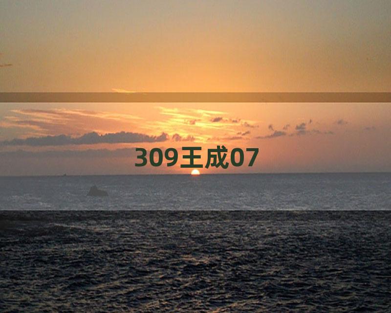 309王成07