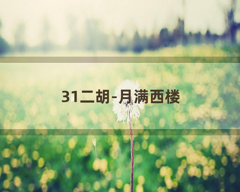 31二胡-月满西楼