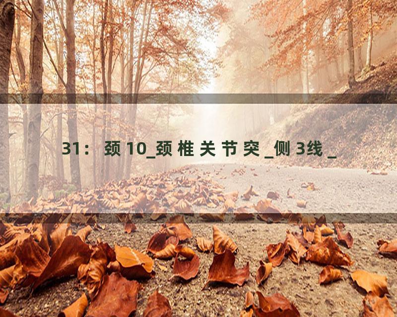31：颈10_颈椎关节突_侧3线_