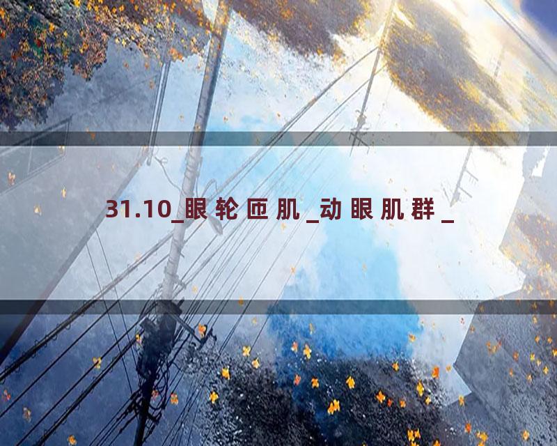 31.10_眼轮匝肌_动眼肌群_
