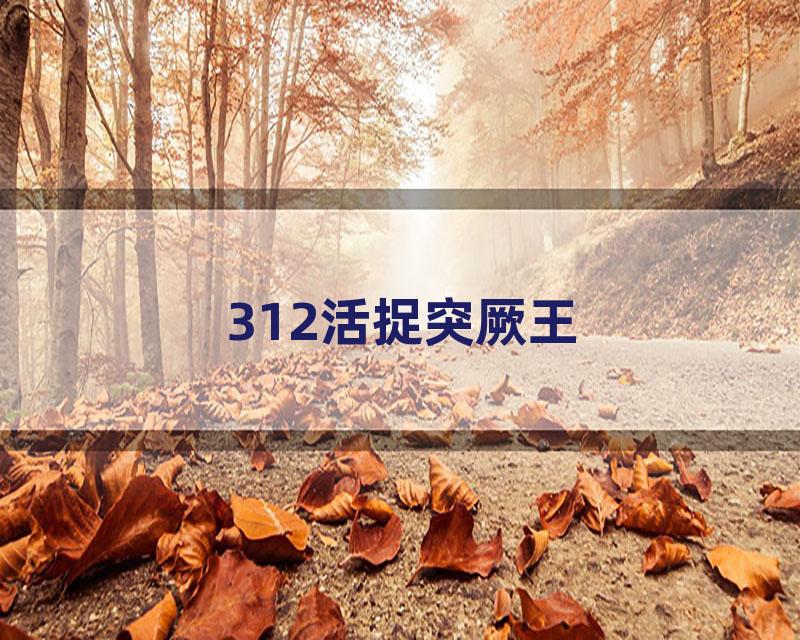 312活捉突厥王