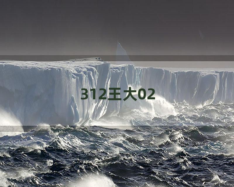 312王大02