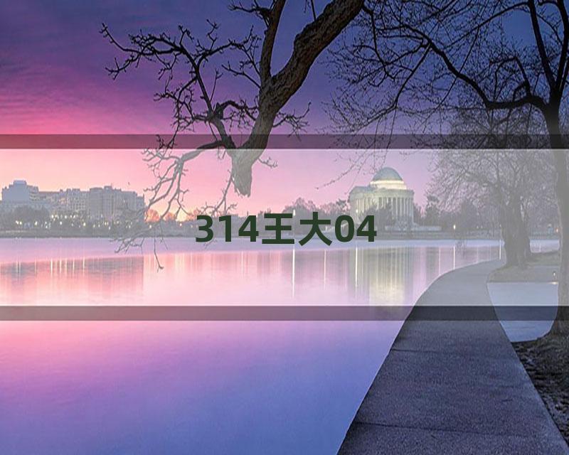 314王大04