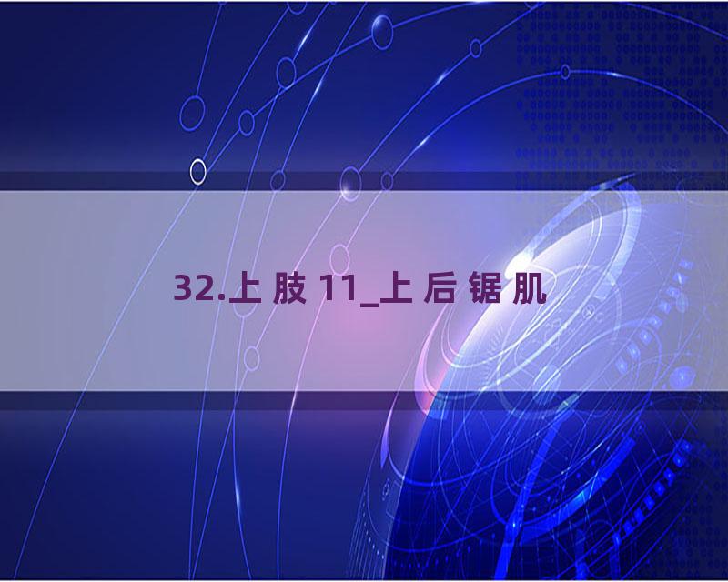 32.上肢11_上后锯肌