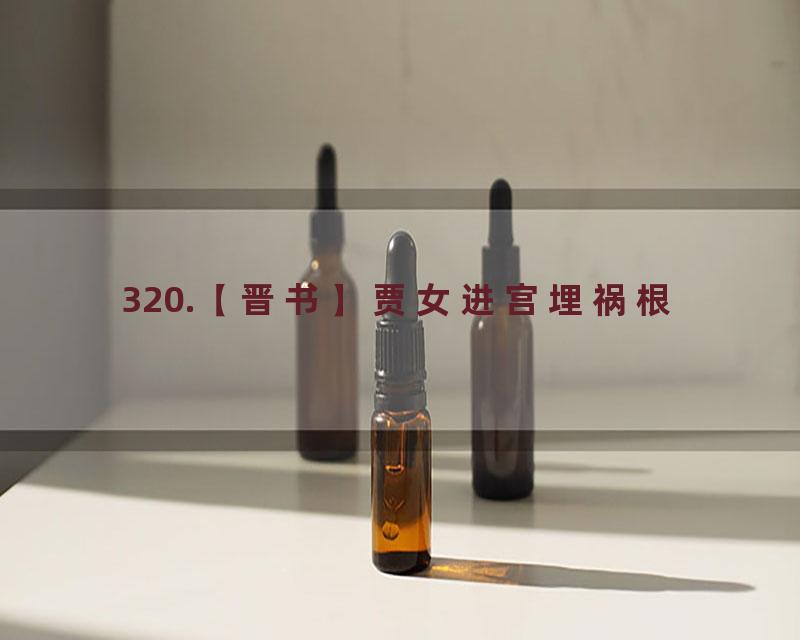 320.【晋书】贾女进宫埋祸根