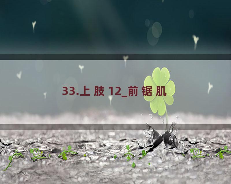 33.上肢12_前锯肌