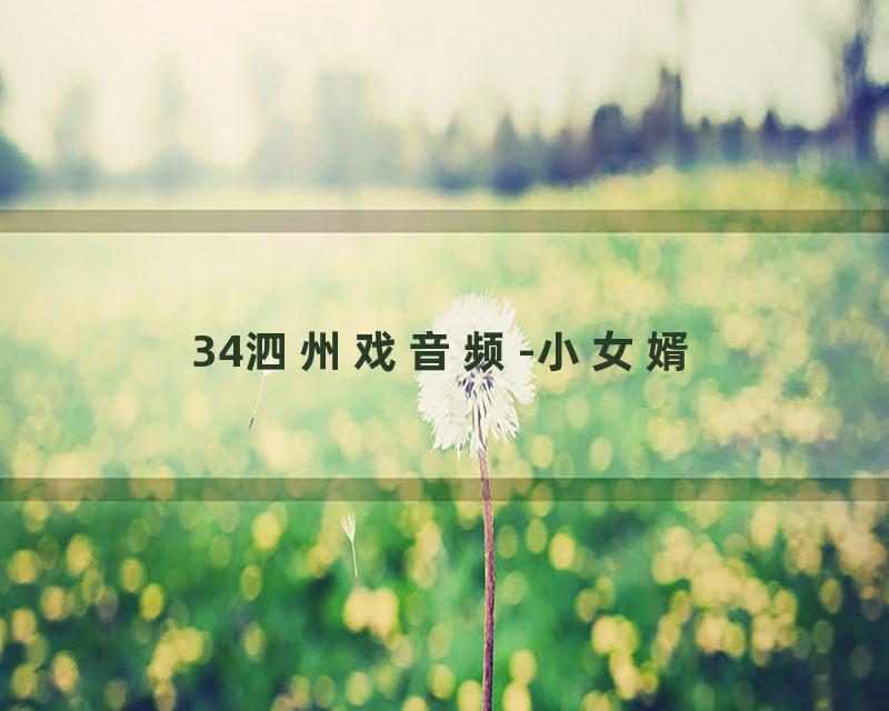 34泗州戏音频-小女婿