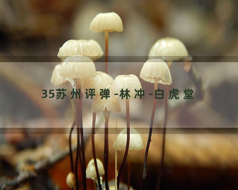 35苏州评弹-林冲-白虎堂