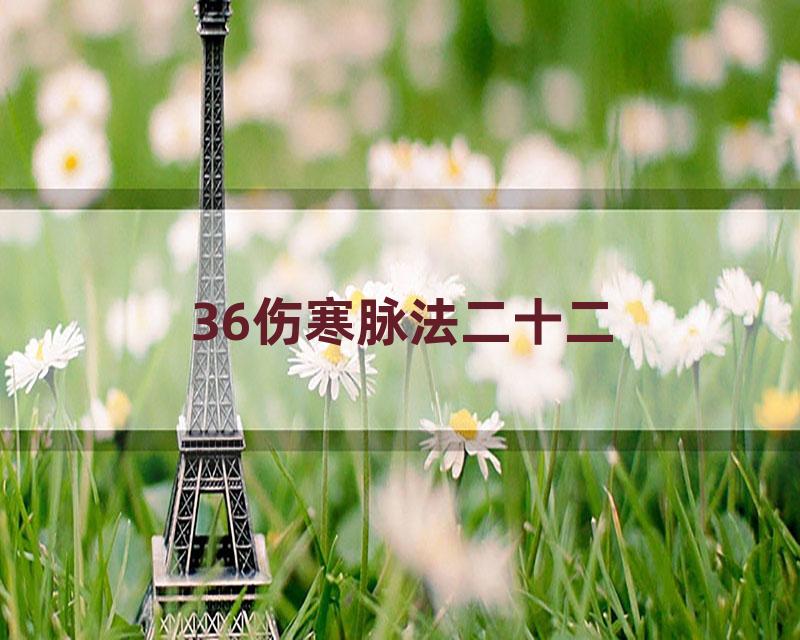36伤寒脉法二十二