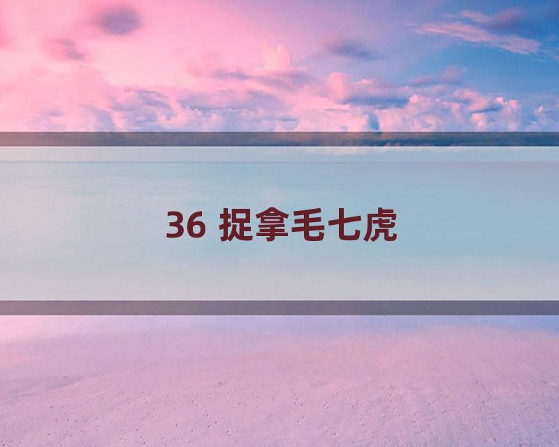 36 捉拿毛七虎