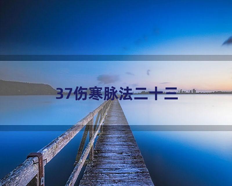37伤寒脉法二十三