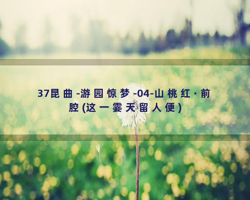 37昆曲-游园惊梦-04-山桃红·前腔(这一霎天留人便)
