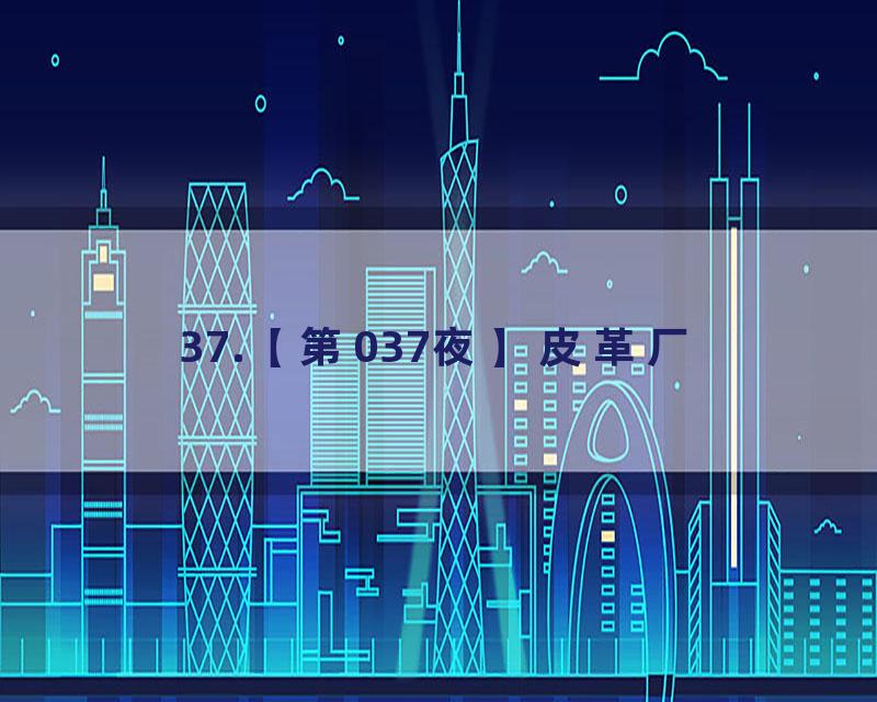 37.【第037夜】皮革厂