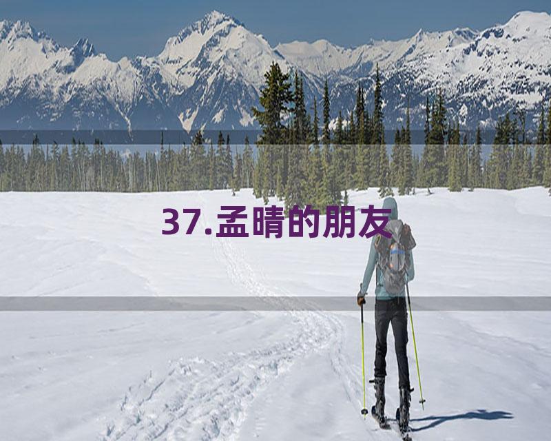 37.孟晴的朋友