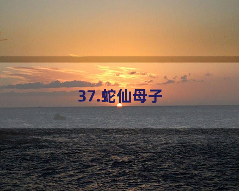 37.蛇仙母子