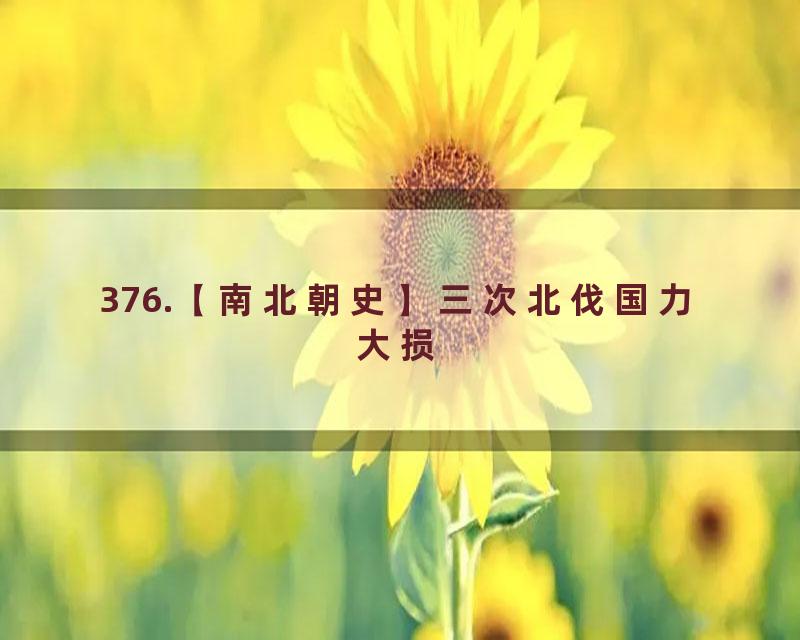 376.【南北朝史】三次北伐国力大损