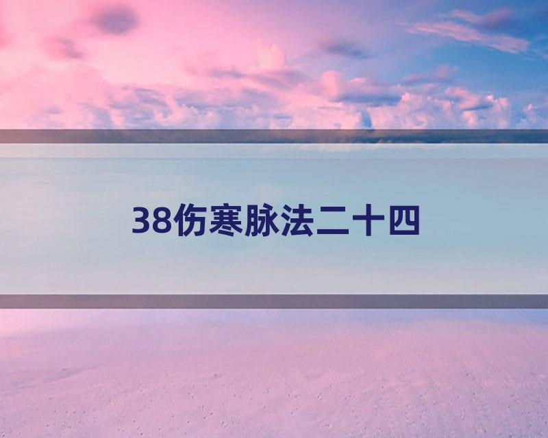 38伤寒脉法二十四