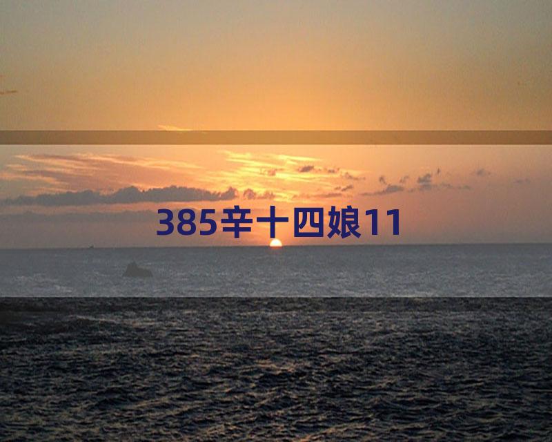 385辛十四娘11