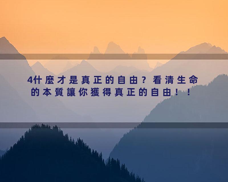 4什麼才是真正的自由？看清生命的本質讓你獲得真正的自由！！