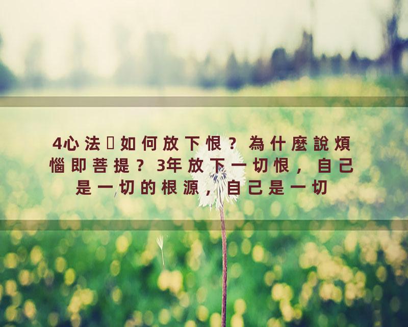 4心法如何放下恨？為什麼說煩惱即菩提？3年放下一切恨，自己是一切的根源，自己是一切的答案！！