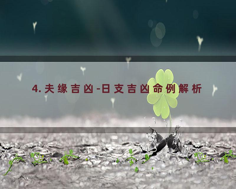 4. 夫缘吉凶-日支吉凶命例解析