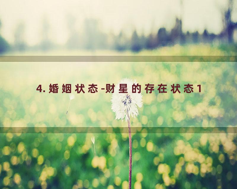 4. 婚姻状态-财星的存在状态1