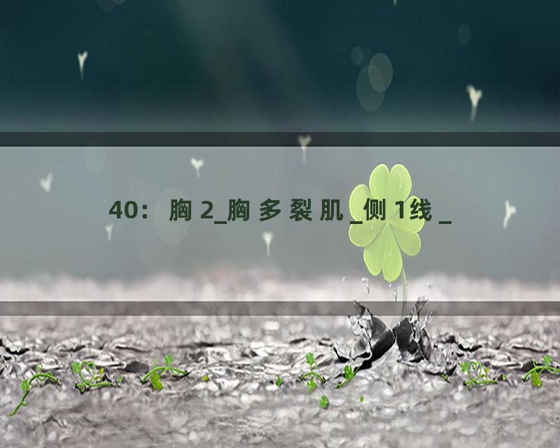 40：胸2_胸多裂肌_侧1线_