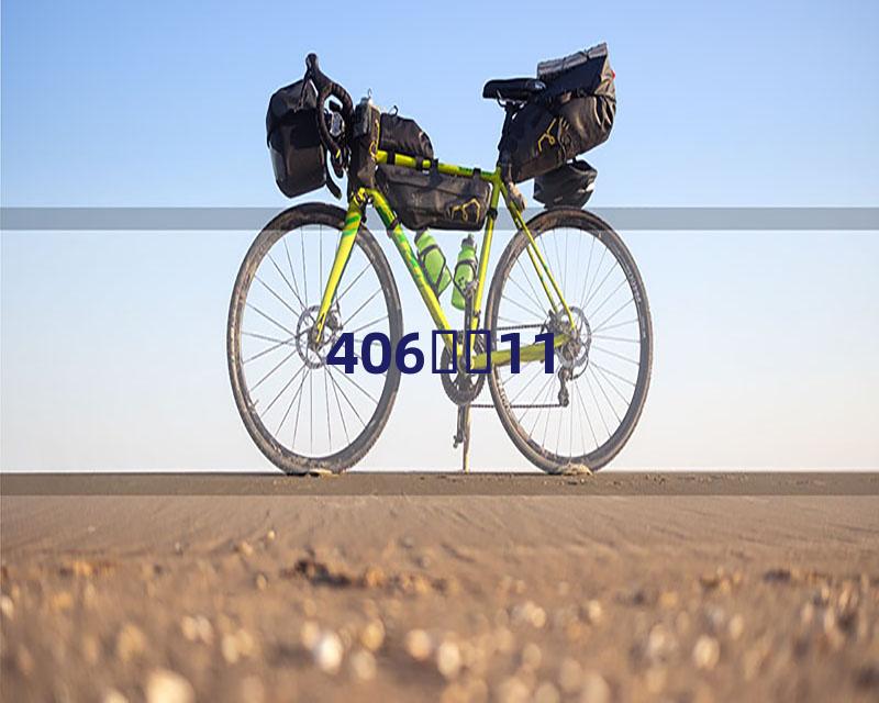 406ѻͷ11