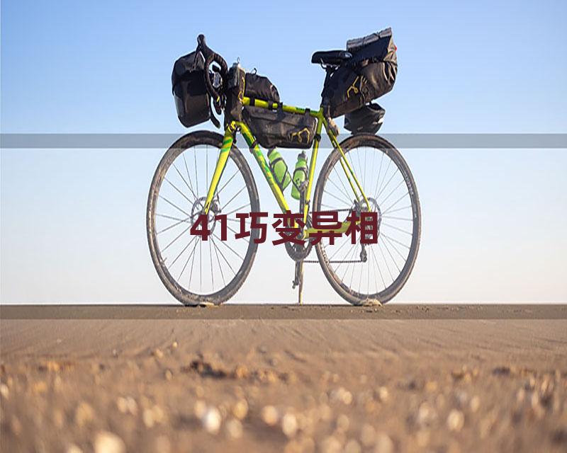 41巧变异相