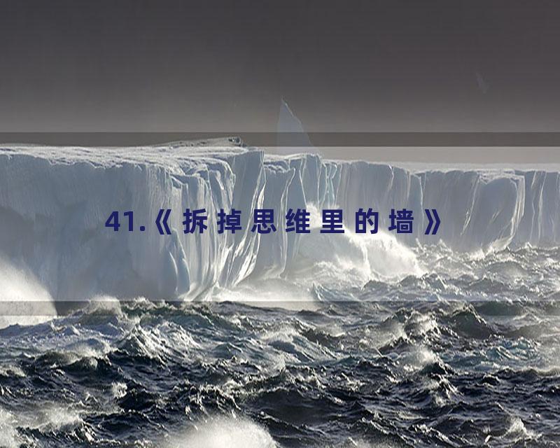 41.《拆掉思维里的墙》