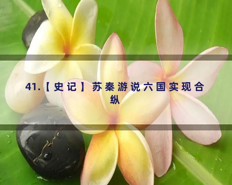 41.【史记】苏秦游说六国实现合纵