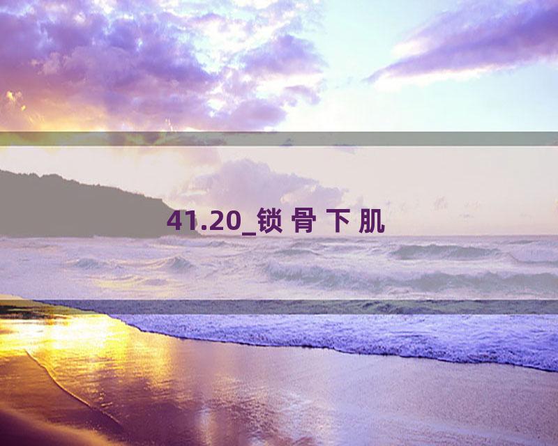 41.20_锁骨下肌
