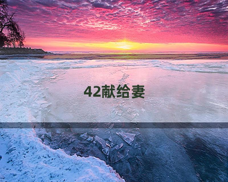 42献给妻