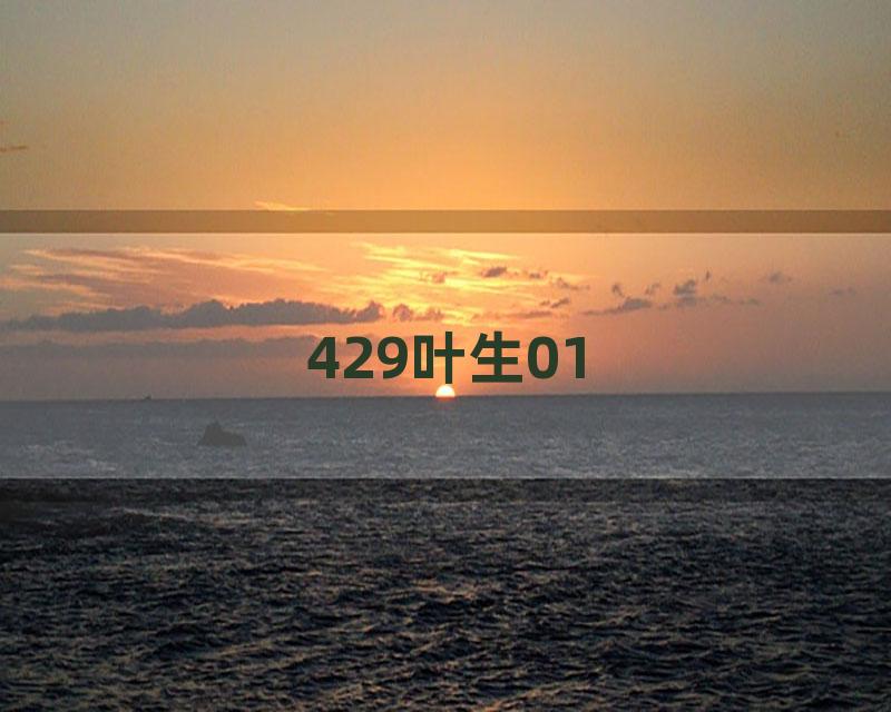 429叶生01