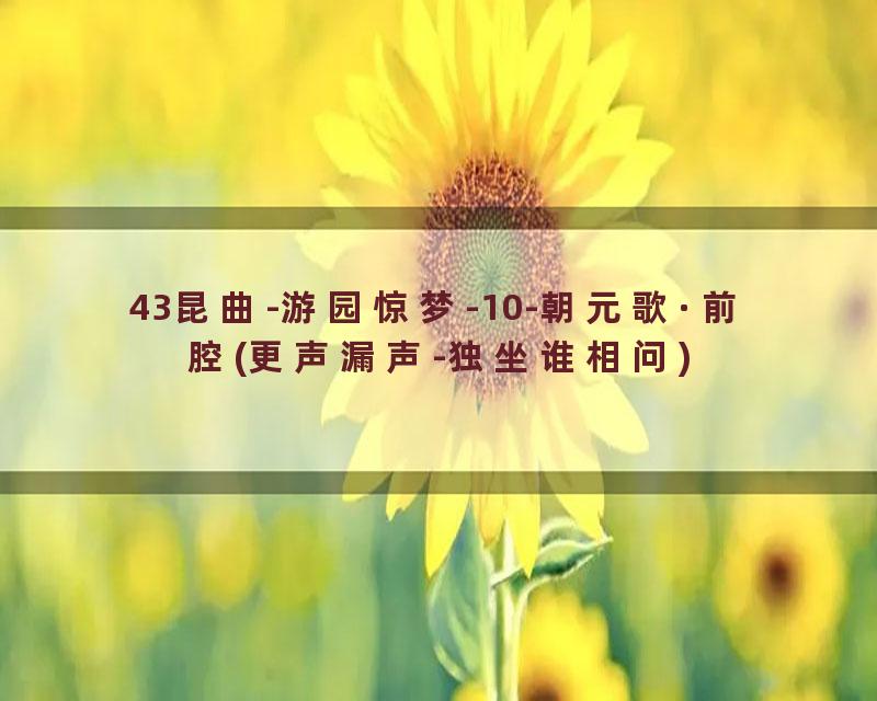 43昆曲-游园惊梦-10-朝元歌·前腔(更声漏声-独坐谁相问)