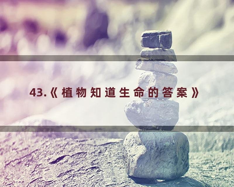 43.《植物知道生命的答案》