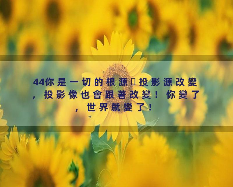 44你是一切的根源投影源改變，投影像也會跟著改變！你變了，世界就變了！