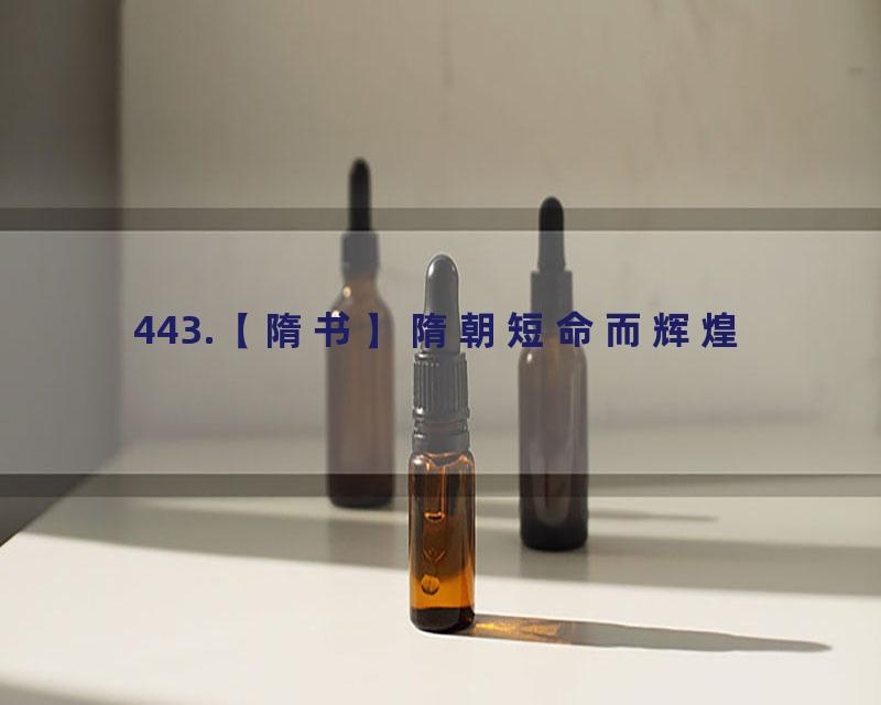 443.【隋书】隋朝短命而辉煌