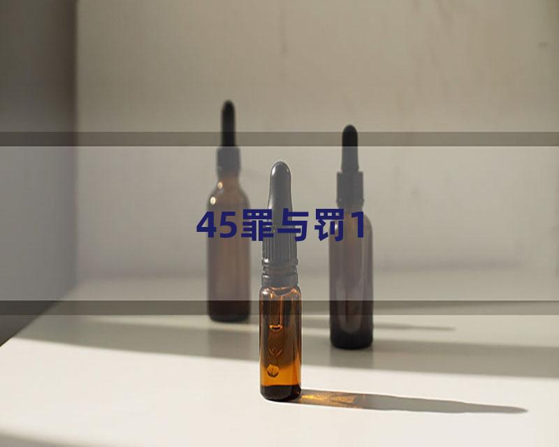 45罪与罚1