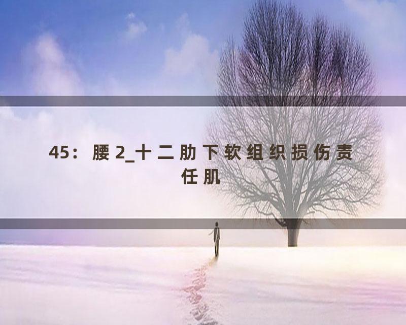 45：腰2_十二肋下软组织损伤责任肌