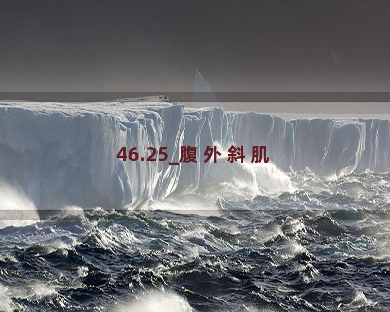 46.25_腹外斜肌