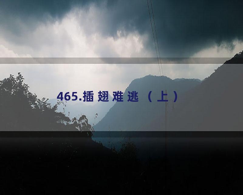465.插翅难逃（上）